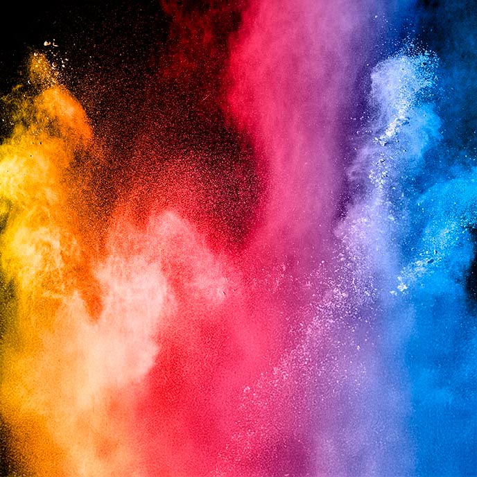 Polvos holi